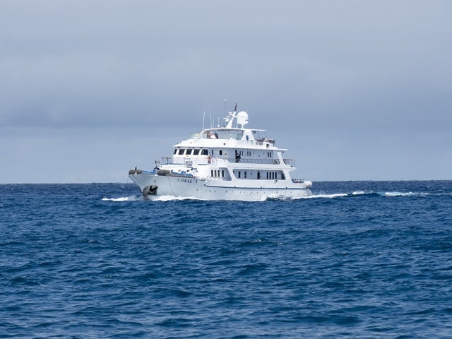 Coral I